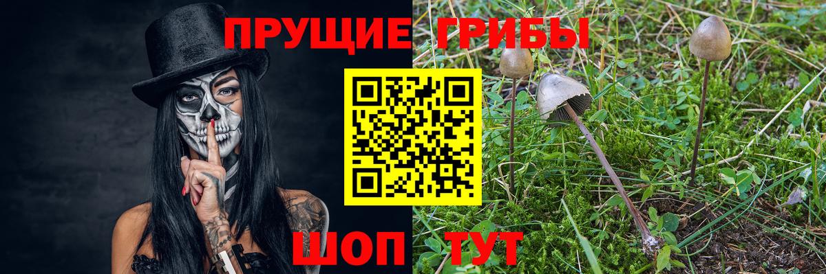 Галлюциногенные грибы GOLDEN TEACHER Ижевск